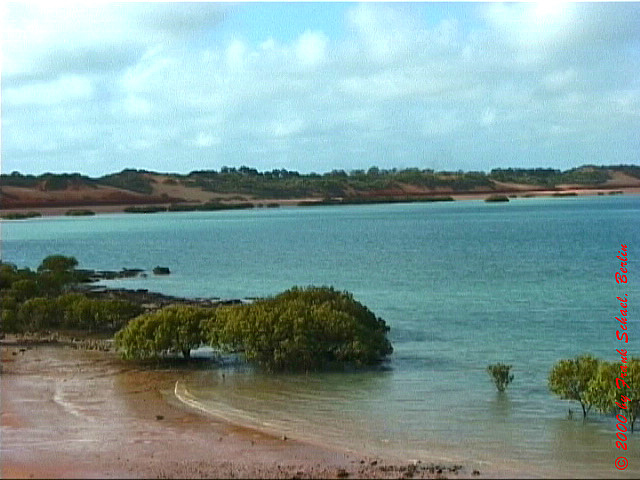 AUS-0034