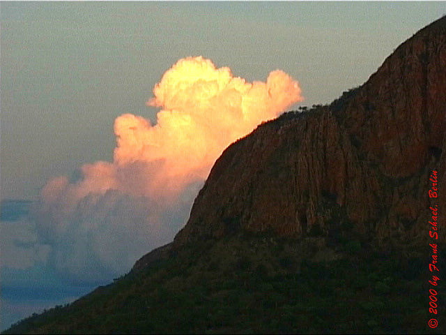 AUS-0044