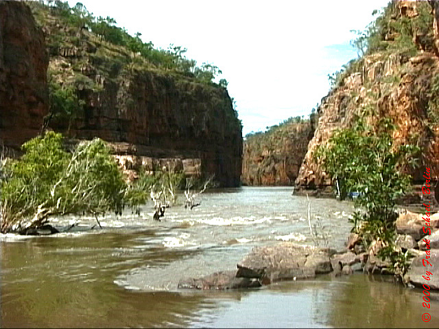 AUS-0053