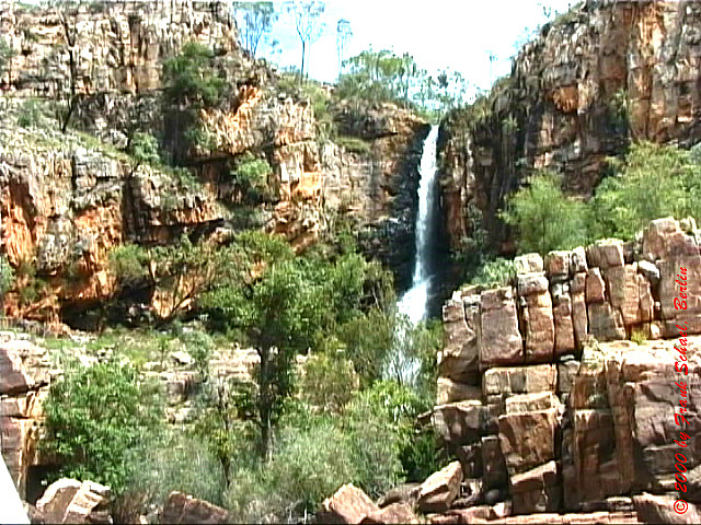 AUS-0054