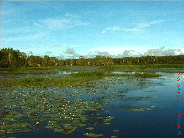 AUS-0060