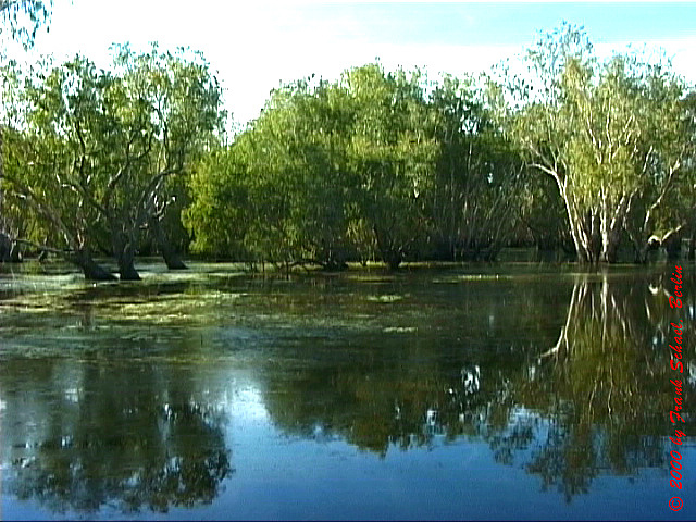 AUS-0063