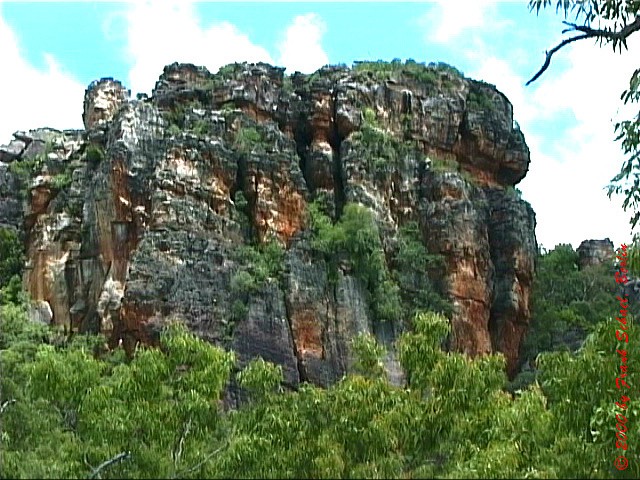AUS-0071