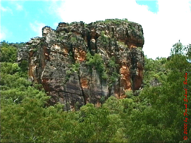 AUS-0073