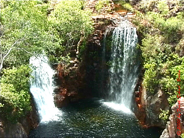 AUS-0098
