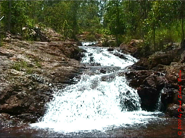 AUS-0101