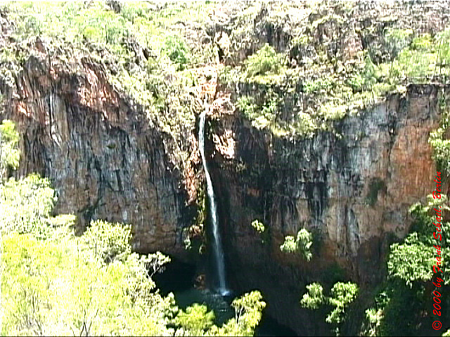 AUS-0104