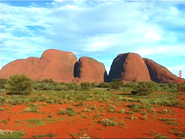 AUS-0134