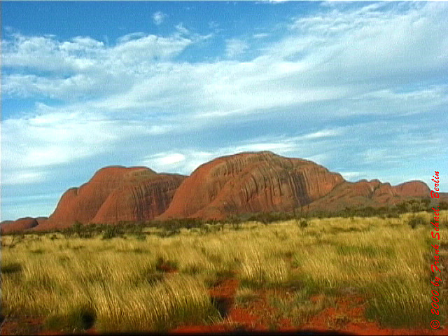AUS-0135