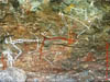 AUS-0069