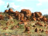 AUS-0113