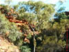AUS-0167