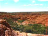 AUS-0175