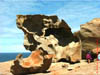 AUS-0223