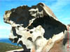 AUS-0228