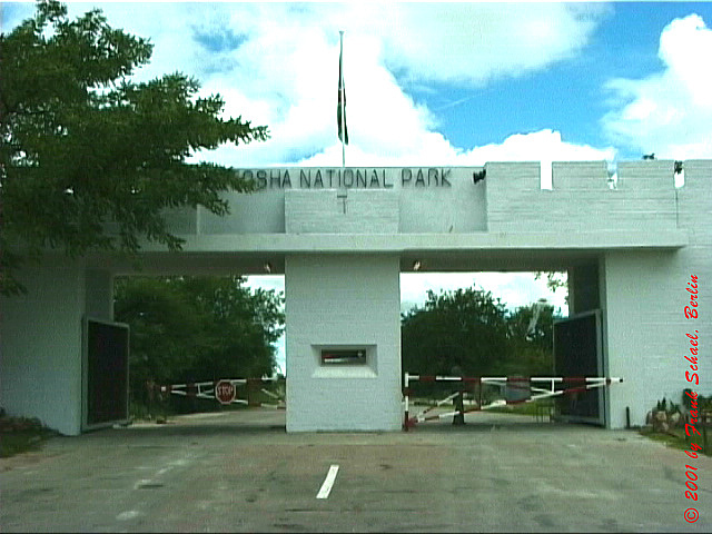 NAM_0335