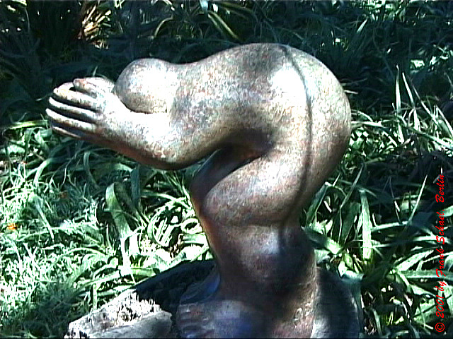 NAM_0546