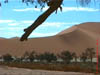 NAM_0146
