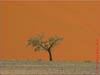 NAM_0157