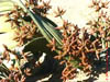 NAM_0190
