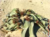 NAM_0191