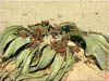 NAM_0192