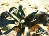 NAM_0194