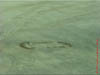 NAM_0268