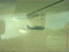 NAM_0270