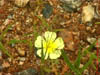 NAM_0327