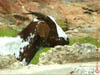 NAM_0328