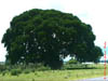 NAM_0332