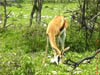 NAM_0336