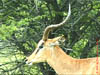 NAM_0353