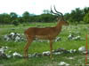 NAM_0357