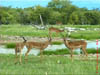 NAM_0358
