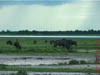 NAM_0374