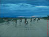 NAM_0375