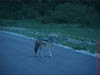 NAM_0376