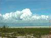 NAM_0377