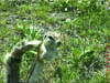 NAM_0382