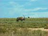 NAM_0385