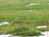 NAM_0397