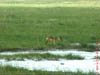 NAM_0398