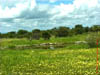 NAM_0423