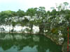 NAM_0425