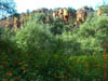 NAM_0444