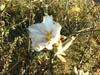 NAM_0483