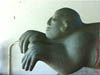 NAM_0536