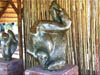 NAM_0541